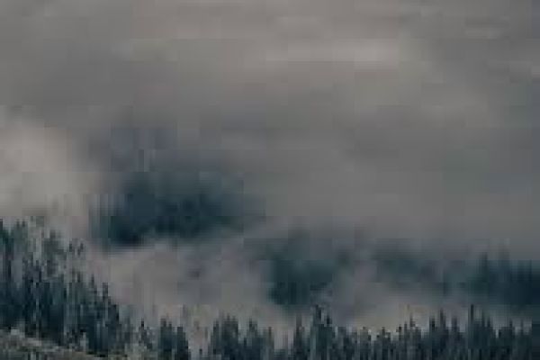 image-58BE13254-1731-6CF2-1A6A-505110A4F80B.jpeg